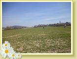 Cassel_07.04.2013 (10)